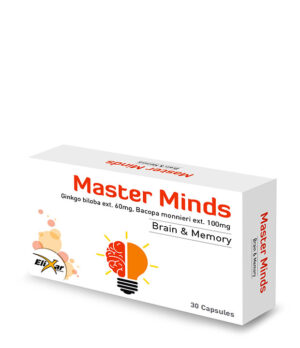 Master-Mind